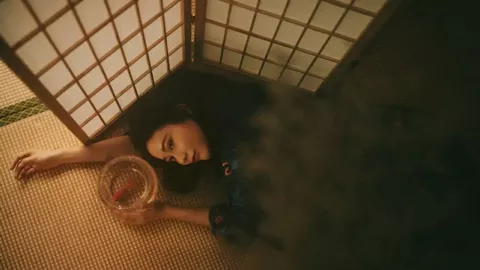 隐瞒精神分裂症闪婚真相